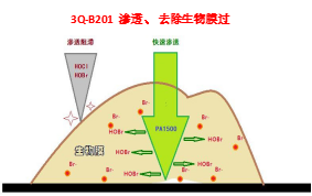 防腐劑 防腐劑